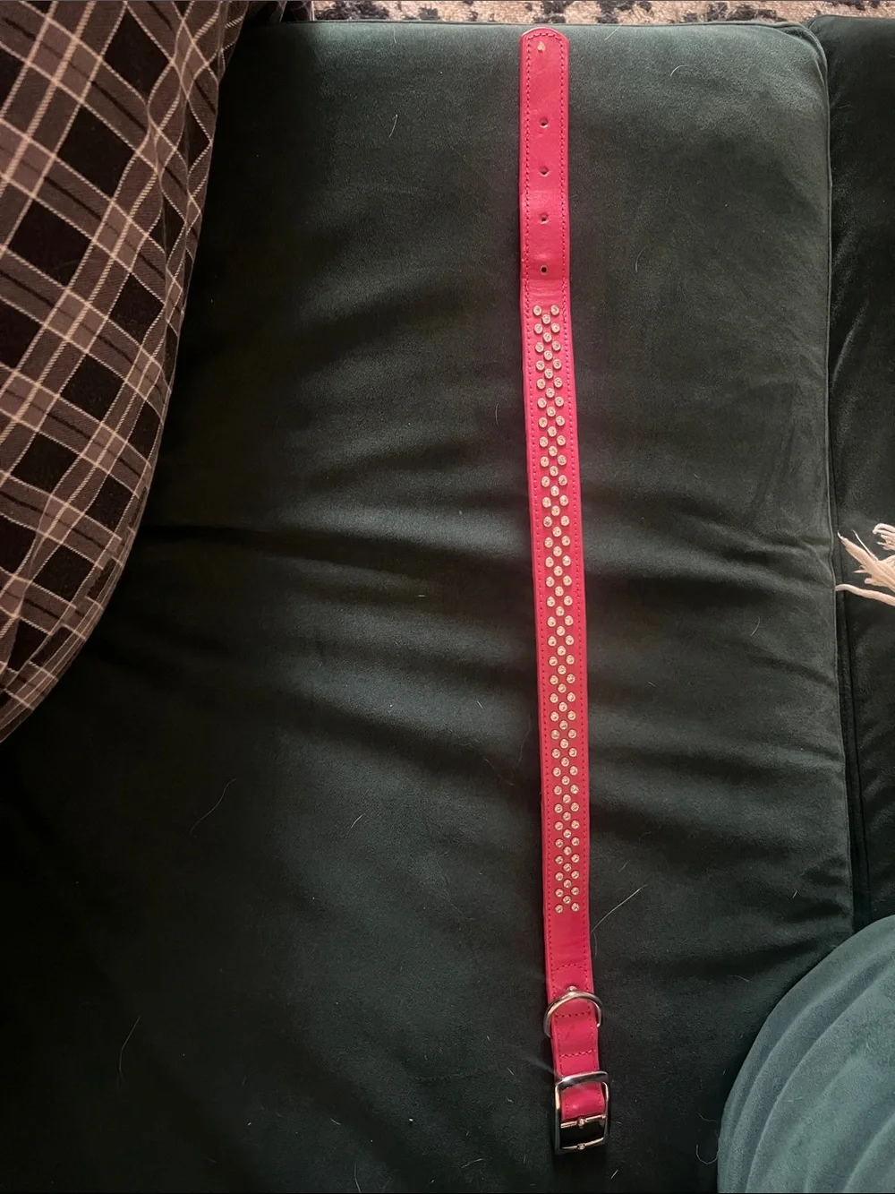 Pink Crystal-Studded Dog Collar - Unbranded